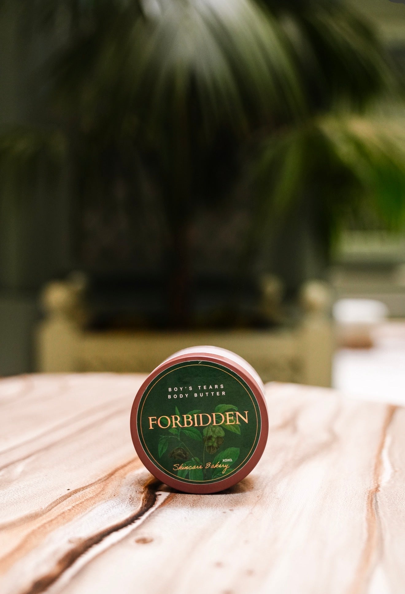 Boy's Tears Collection: Forbidden